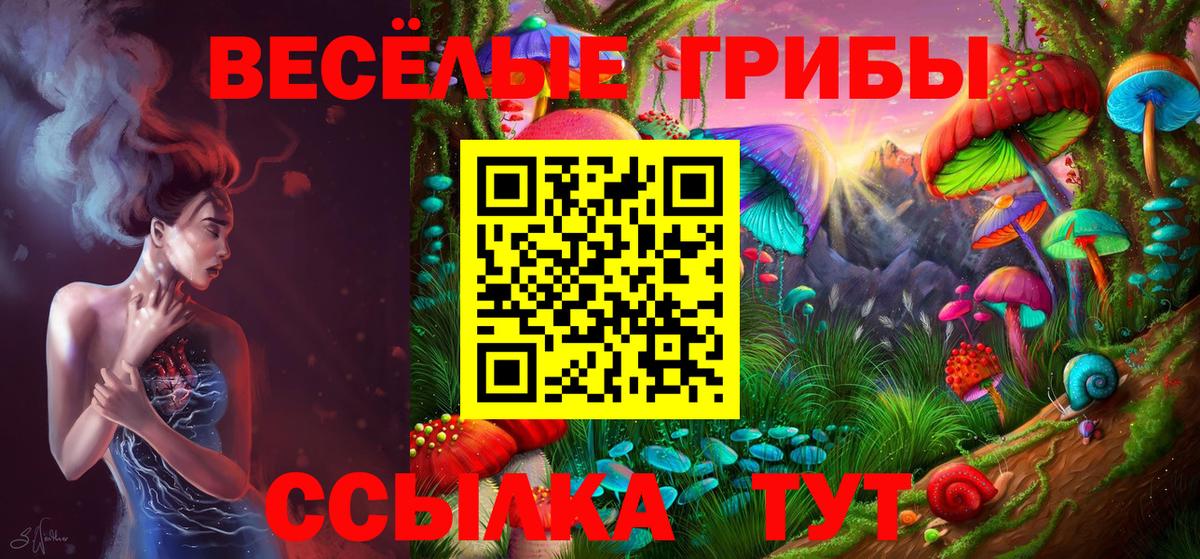 Псилоцибиновые грибы Psilocybe Азнакаево
