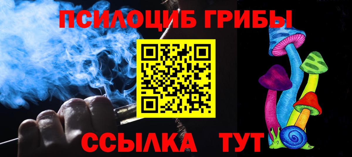 купить   Псилоцибиновые грибы ЛСД  Азнакаево  Вход с VPN  Псилоцибиновые грибы мицелий 